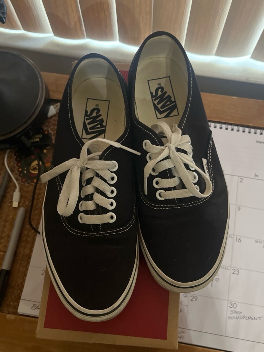 Vans Black Canvas Low-Top Sneakers with White Laces